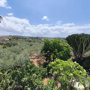 Affittacamere L'araucaria